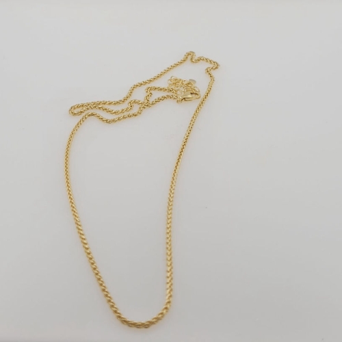 Chaine Palmier S Longue